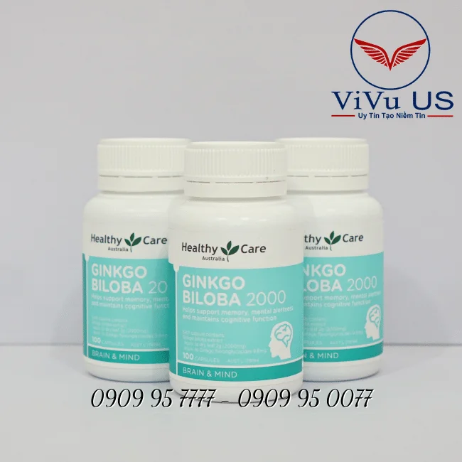 Ginkgo Biloba
