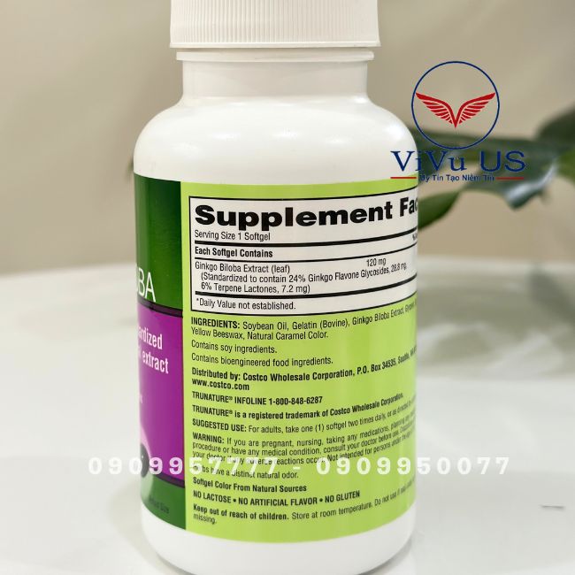 Thanh Phan Ginkgo Biloba Trunature