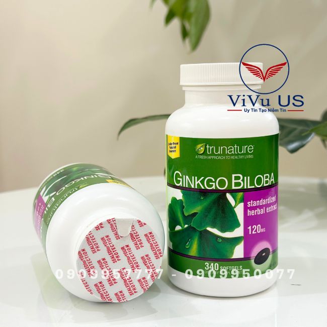 Thuoc Bo Nao Ginkgo Biloba Trunature