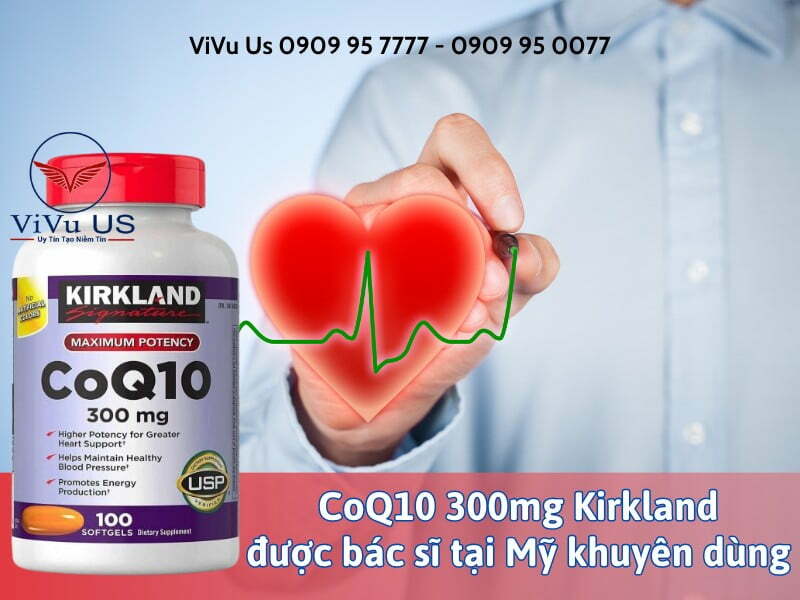 Coq10 300mg Kirkland