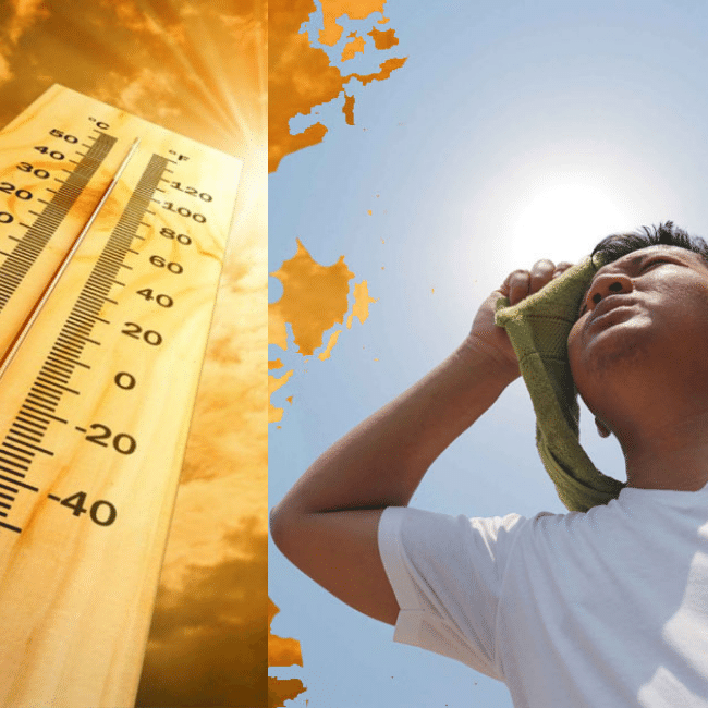 Nhiều Người Dùng Nhất Hiện Nay