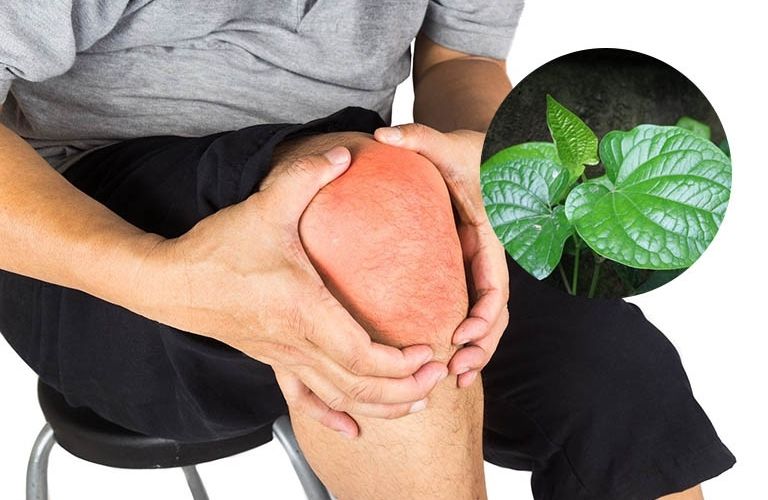 Tác dụng chữa bệnh của lá lốt