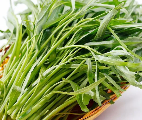 Nguyên nhân đau xương khớp không nên ăn rau muống