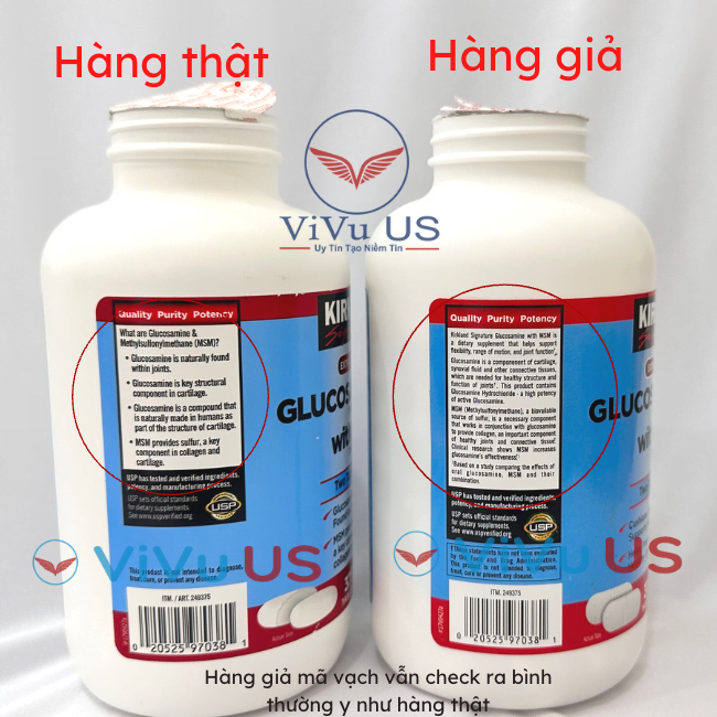 Thuốc Glucosamine Giả: Cách Nhận Biết và Phòng Ngừa