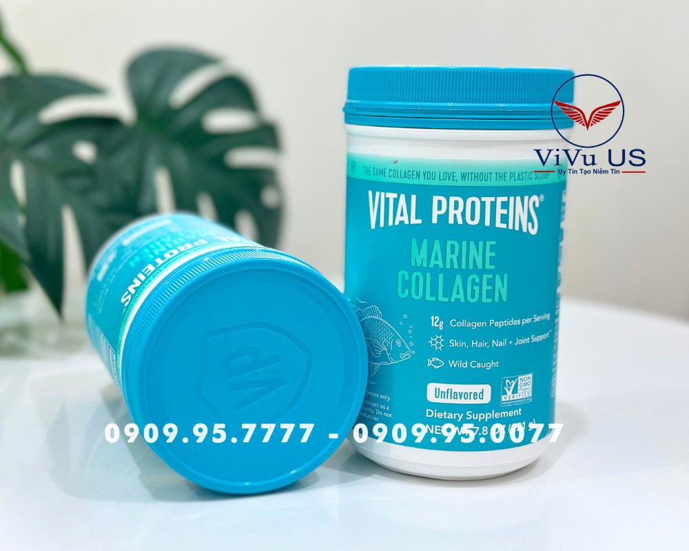 Collagen thủy phân từ cá Vital Proteins Marine Collagen 221g 12 Vital Proteins Marine Collagen 221g Chính Hãng